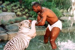 Nếu bạn có cú đấm của Mike Tyson, vóc dáng của Shaquille O'Neal và tốc độ của Usain Bolt, bạn có thể đánh bại một con hổ không?