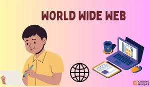 Hỏi AI: Vì sao tiền tố “www.” đang dần biến mất khỏi địa chỉ website?