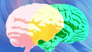 Grammarly ra mắt tính năng AI mới: 'chuyên gia' đưa lời khuyên, nhưng liệu có phải thật?