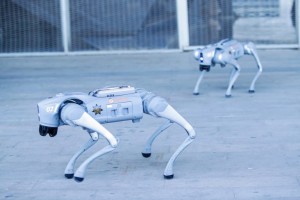 Robot bảo vệ AI: Canh gác những trung tâm dữ liệu vô giá
