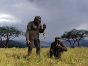 Loài Paranthropus đã cùng tồn tại với con người trong 850.000 năm, nhưng lại không để lại hậu duệ nào: Lực cắn cực mạnh chính là nguyên nhân dẫn đến sự tuyệt chủng của chúng