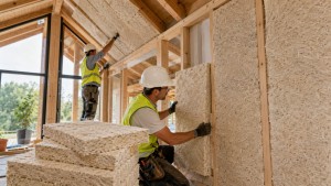 Phát minh làm rung chuyển ngành xây dựng: biến nấm thành gỗ, năng suất cao nhưng chi phí thấp