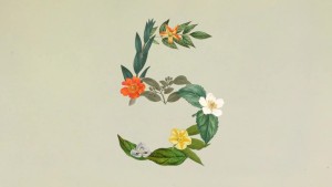 Anthropic ra mắt Claude Sonnet 5: Ngang ngửa Opus 4.8 nhưng giá chỉ bằng một nửa