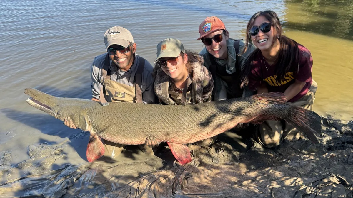 Phát hiện 'hóa thạch sống' khổng lồ dưới sông Mississippi: Sinh vật cổ xưa khiến giới khoa học kinh ngạc- Ảnh 2.