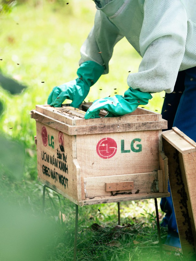 Đại sứ Cộng đồng LG 2025: Hành trình cùng cộng đồng kiến tạo tương lai bền vững- Ảnh 1. Đại sứ Cộng đồng LG 2025: Hành trình cùng cộng đồng kiến tạo tương lai bền vững- Ảnh 1.