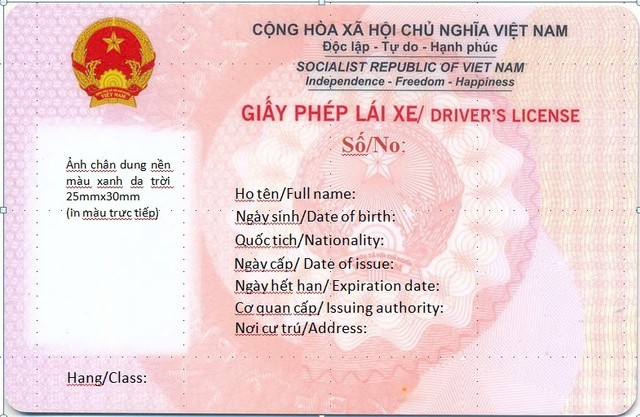 Cục CSGT đã cấp giấy phép lái xe mới màu hồng: Có bắt buộc đổi ngay trong năm nay? - Ảnh 1.