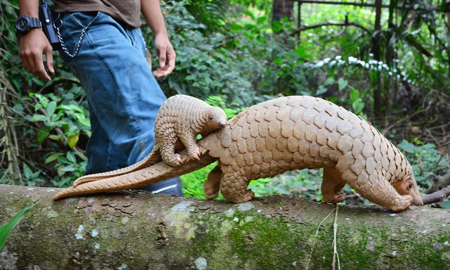 Sinh vật không đầu xuất hiện trong quán bi-a ở Congo khiến mạng xã hội Trung Quốc xôn xao - Ảnh 4.