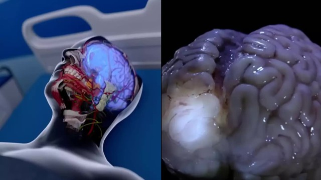 Các nhà khoa học đặt lại câu hỏi về ranh giới sinh tử: Con người trải qua điều gì trong sáu phút sau khi chết lâm sàng? - Ảnh 1.