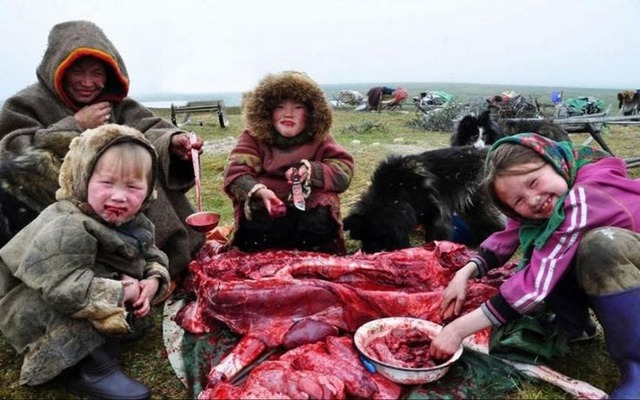 Vì sao người Eskimo vẫn ăn thịt sống giữa Bắc Cực khắc nghiệt suốt hàng nghìn năm? - Ảnh 4.