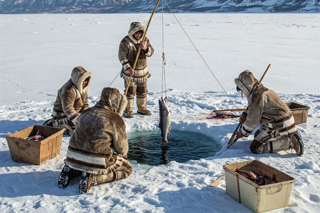Vì sao người Eskimo vẫn ăn thịt sống giữa Bắc Cực khắc nghiệt suốt hàng nghìn năm? - Ảnh 1.