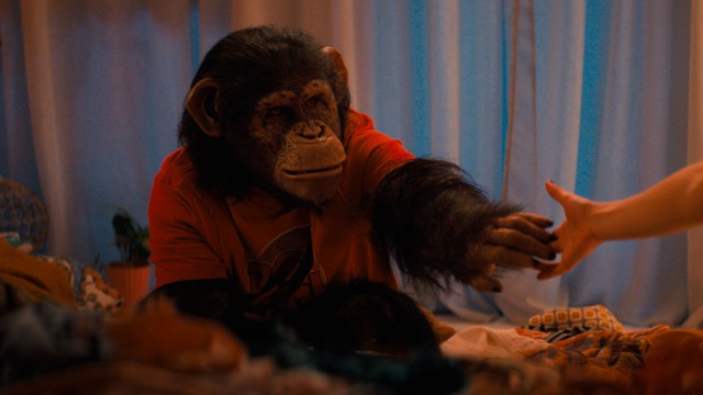 "Primate" 2026: Cơn ác mộng đẫm máu từ thú cưng hóa quái vật khơi dậy niềm vui nguyên thủy của dòng phim kinh dị - Ảnh 1.