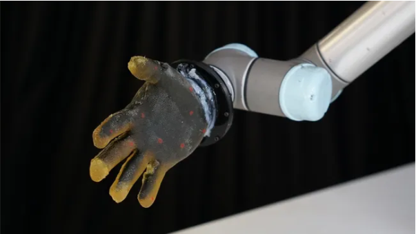 Những robot độc lạ - Ảnh 2.