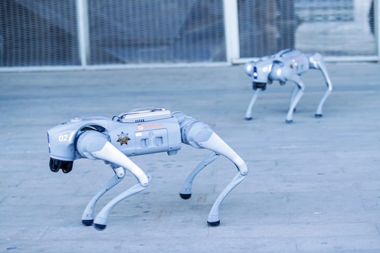 Robot bảo vệ AI: Chó máy giá gần 8 tỷ đồng đang canh gác những trung tâm dữ liệu vô giá - Ảnh 1.