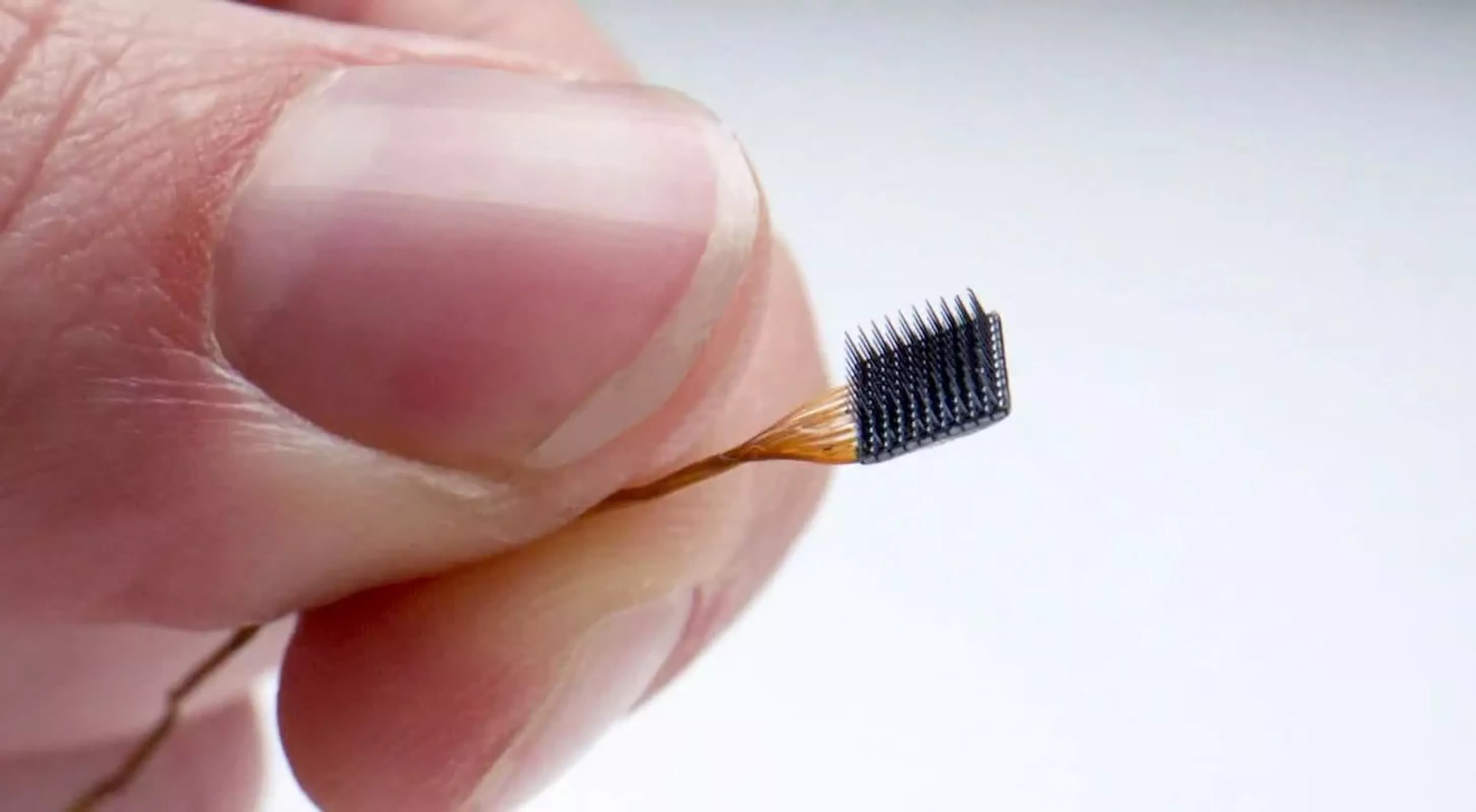 Nhạc sĩ 69 tuổi liệt toàn thân cấy 6 vi chip vào não để có thể sáng tác, và đây là tác phẩm của ông- Ảnh 2.
