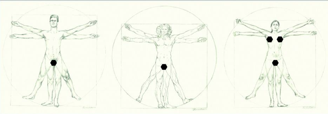 Hơn 500 năm sau Leonardo da Vinci, tỷ lệ cơ thể của đàn ông Việt có còn khớp với "Người Vitruvius"? - Ảnh 6.